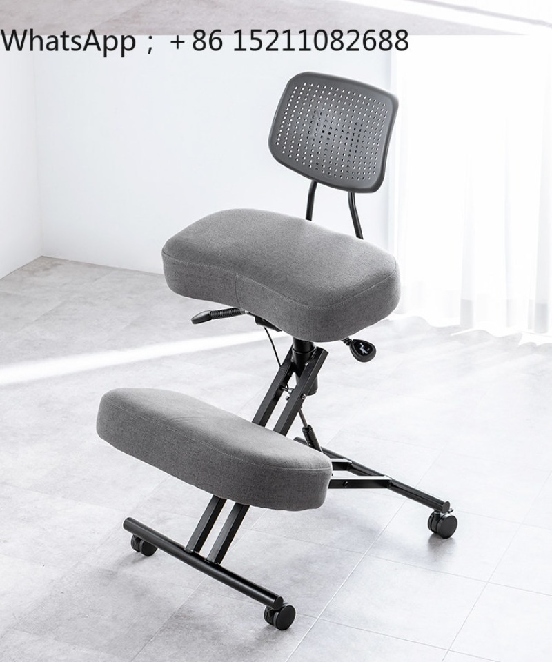 LLY 사무용 의자, 인체공학적 디자인, 무릎을 꿇고  - Ergonomic Office Chair 리뷰 및 가격